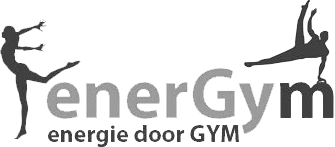 Present Online client Turnkring Energym logo grey