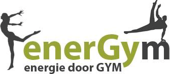 Present Online klant Turnkring Energym logo